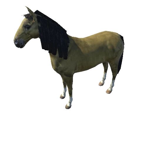 horse_rig (5)